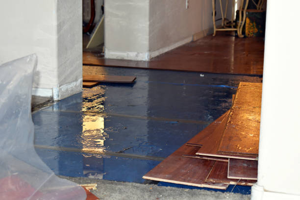 Professional Water Extraction technician working in Rome, OH